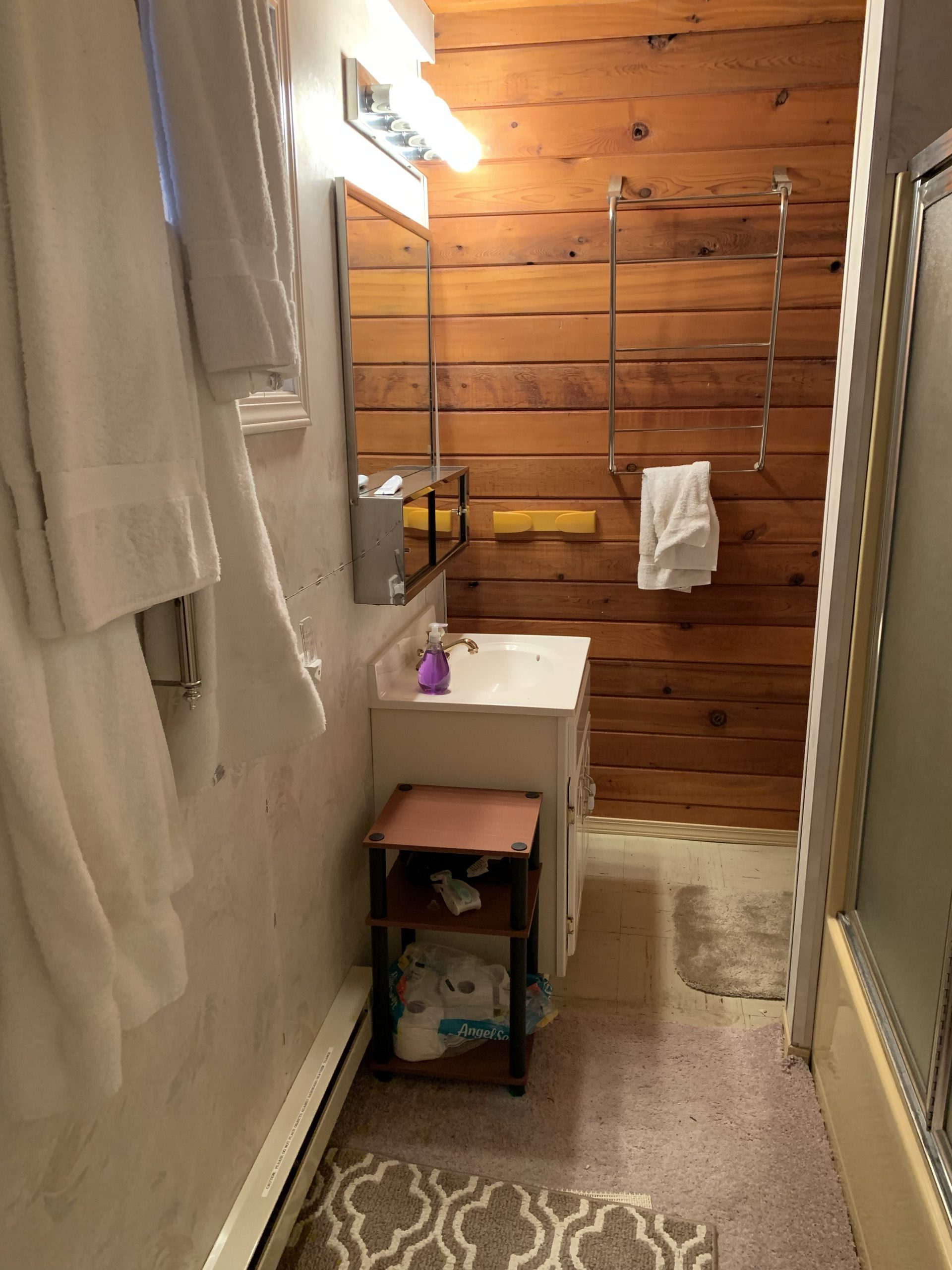 Before: the carpeted bathroom with a frosted glass shower insert